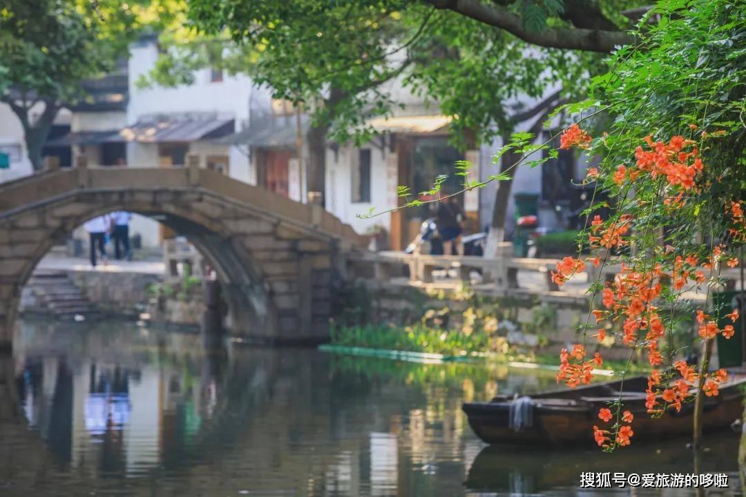 见证者